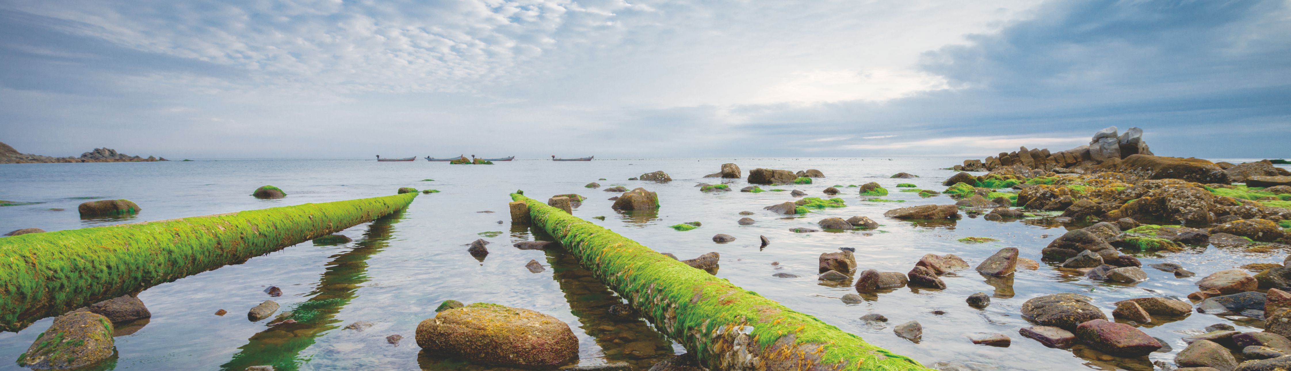 �격������(�й���)�ٷ���վ