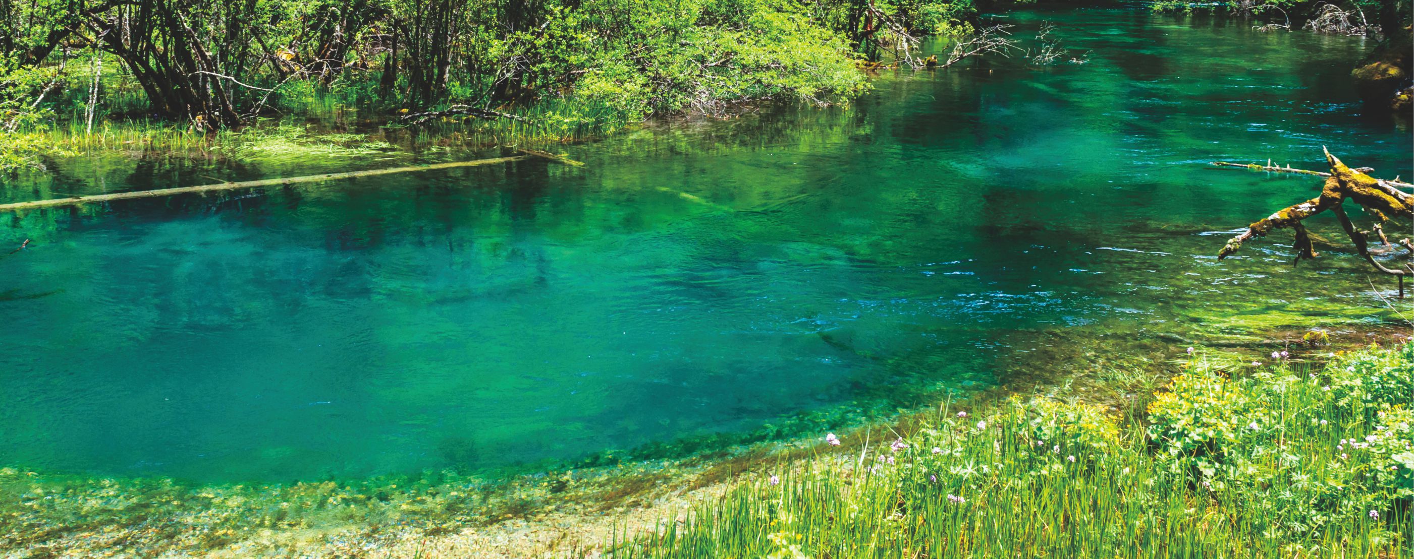 �격������(�й���)�ٷ���վ