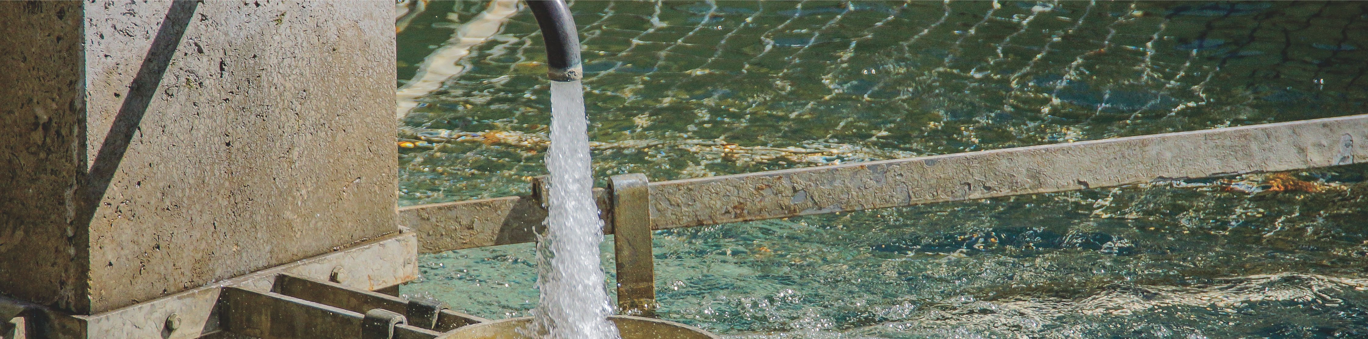 �격������(�й���)�ٷ���վ